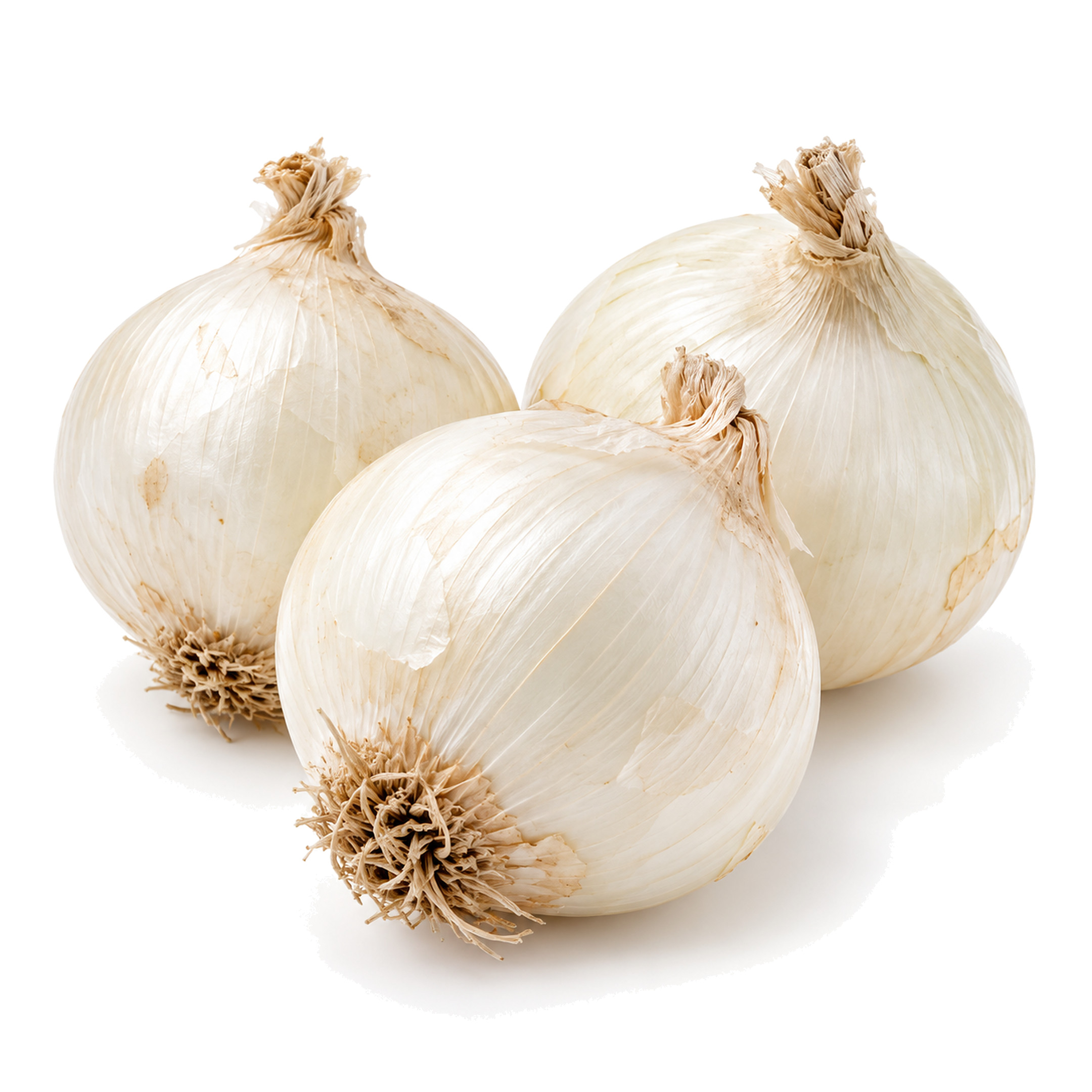 Cebolla