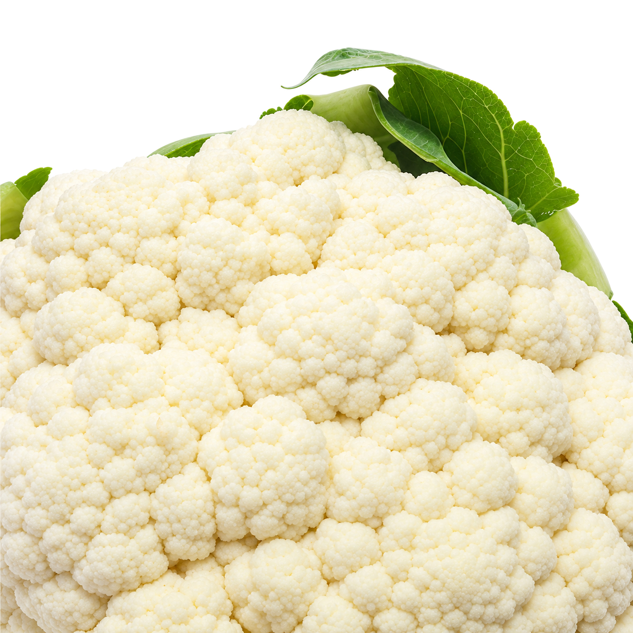Coliflor