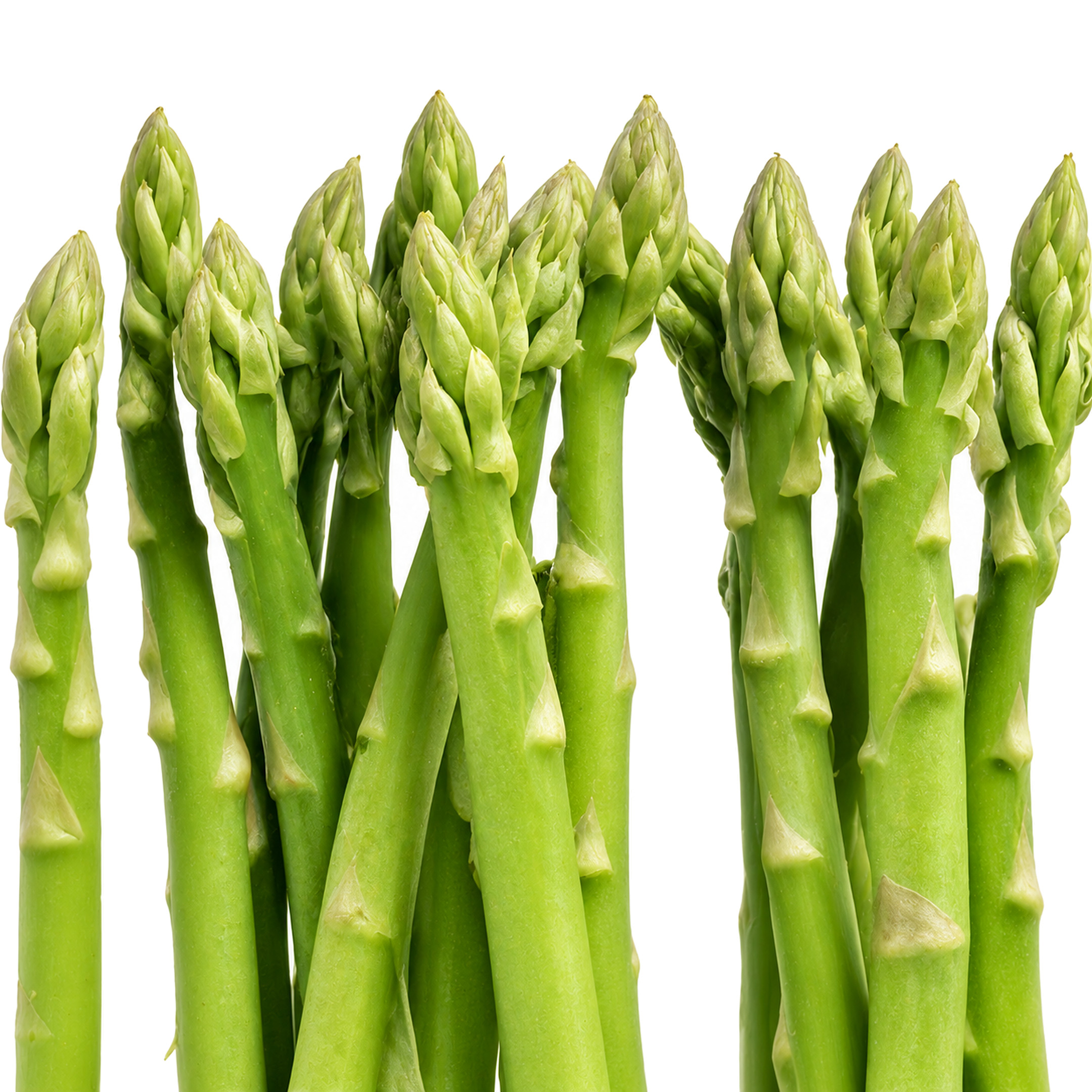 Espárrago