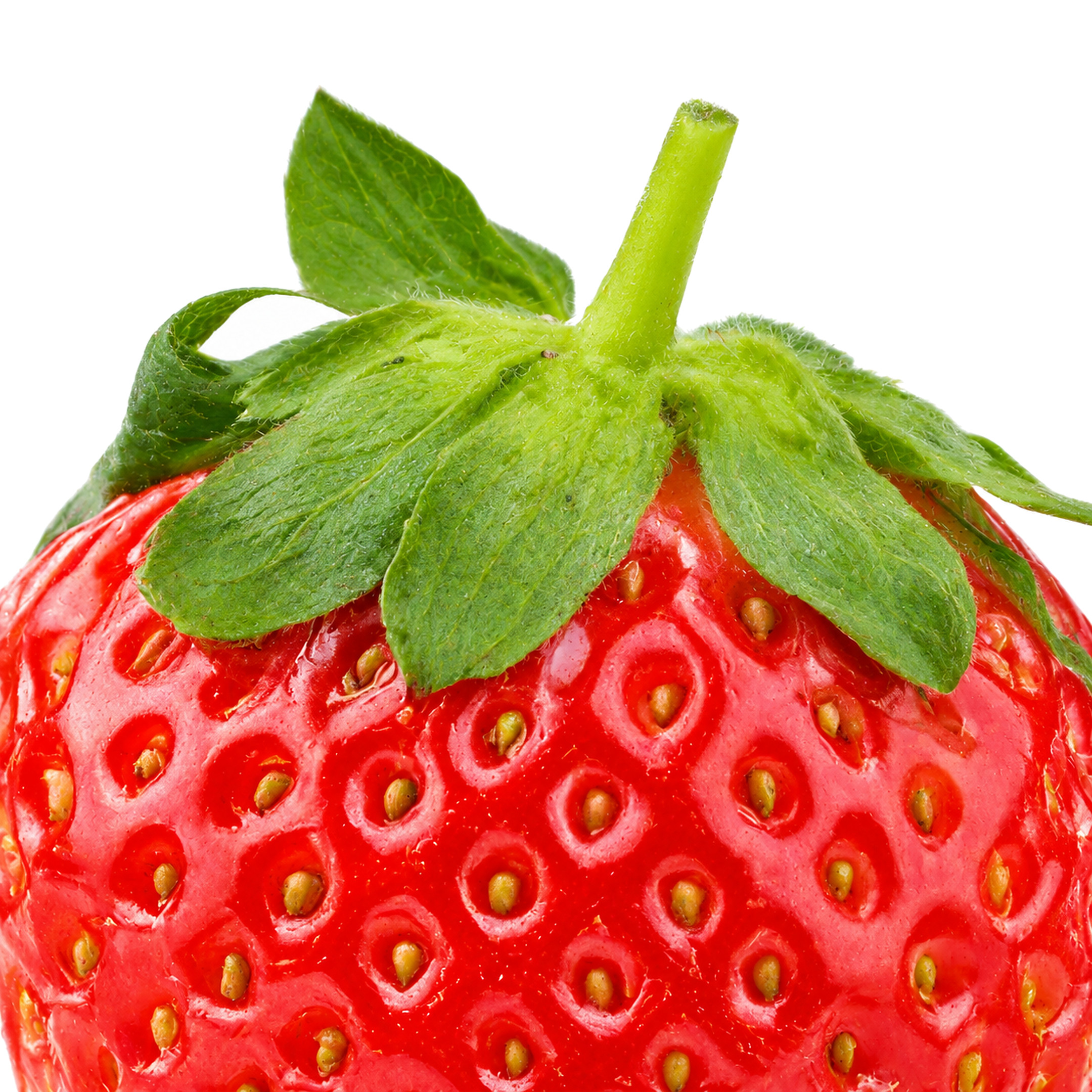 Fresa