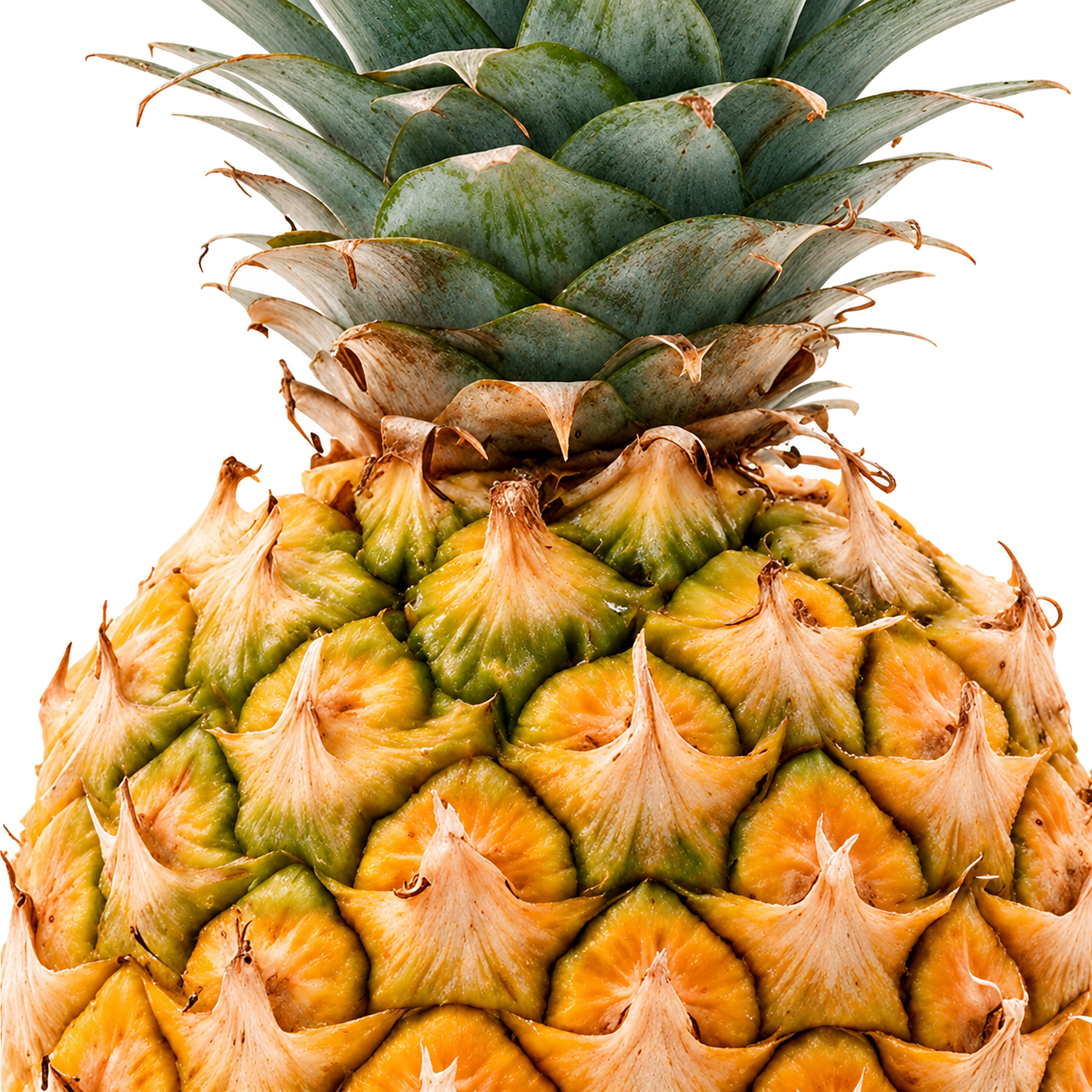 Piña